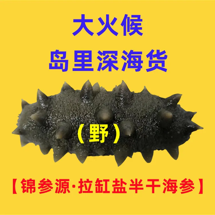 【大火候·岛里深海货】长岛拉缸盐半干海参 水深20-30米 非饲料养殖