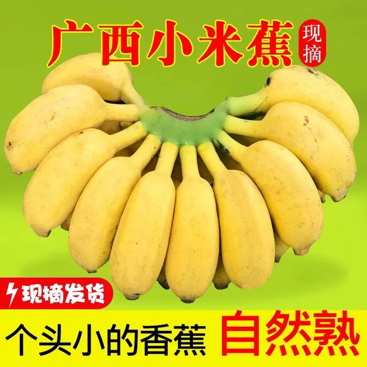 广西产地正宗农户家小米蕉当季新鲜水果薄皮肉厚酸甜可口