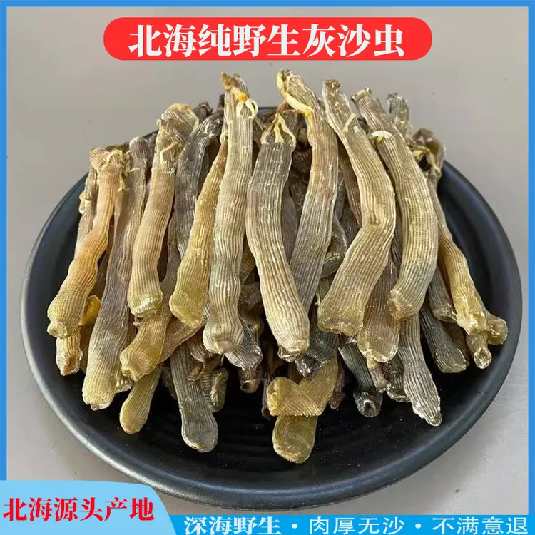 北海灰沙虫深海原生态沙虫干深海沙虫干调味