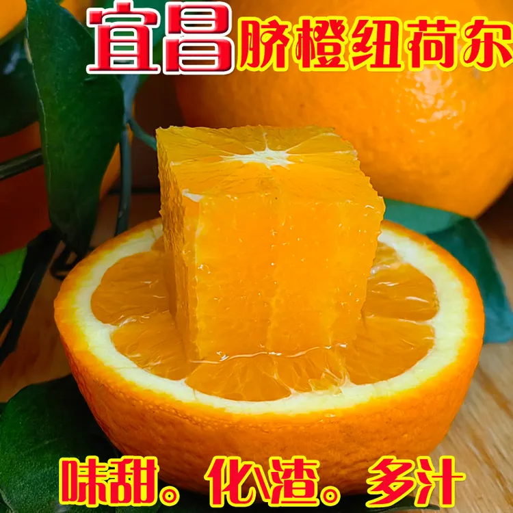 宜昌当季脐橙纽荷尔高山水果甘甜多汁九月红无籽新鲜手剥秭归橙子