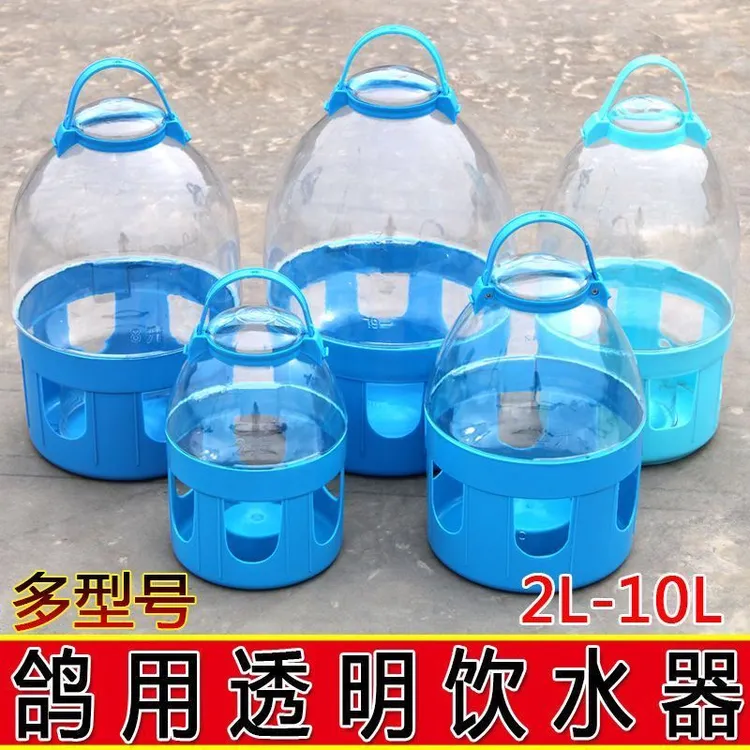 大提手鸽子透明水壶
