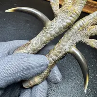 文玩鸡爪骨手把件（一对 处理好十天左右发货）