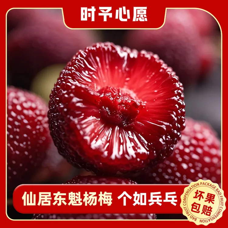 浙江仙居新鲜东魁新鲜杨梅当季水果现摘现发整箱包邮