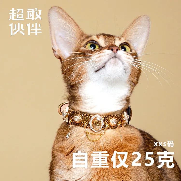 【超敢伙伴】吻金灵蛇重工设计款宠物项圈阿比中小幼型犬猫通用