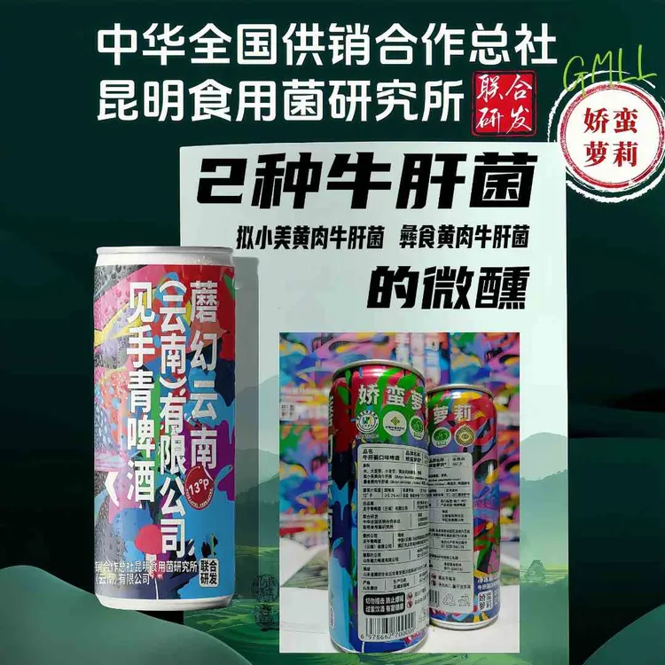 娇蛮萝莉原创正品云南见手青啤酒330毫升6罐精酿蘑菇菌高浓度酒水