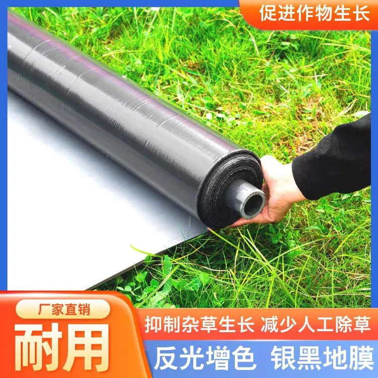 农用加厚银黑地膜防草地膜薄膜果园蔬菜大棚草莓玉米专用种菜地膜