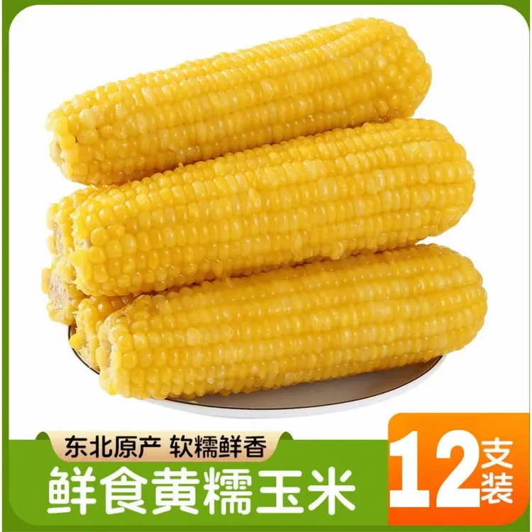 【黄金糯九12支】25年东北头茬糯玉米现摘真空锁鲜试吃4根