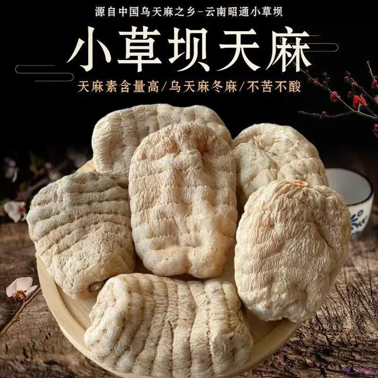 云南昭通小草坝乌天麻干货原产地直发无硫野天麻正宗野天麻