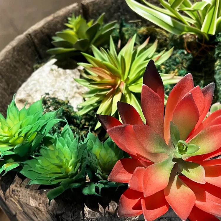 多彩仿真多肉组合盆栽 创意绿植造景 色彩系桌面装饰小清新