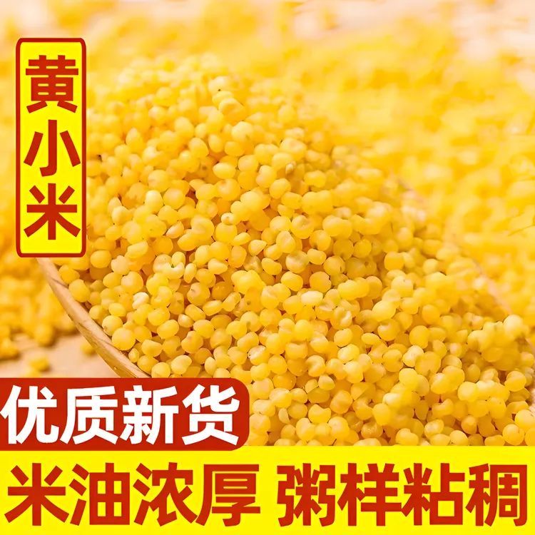 黄小米新米农家小黄米粮食又粘又糯浓稠小米煮粥农家五谷杂粮