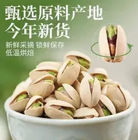 【到手4包】新鲜大颗粒原色开心果盐焗味坚果零食50克/包