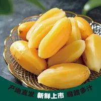 云南天山雪莲果圆果新鲜水果应当季孕妇多汁脆甜