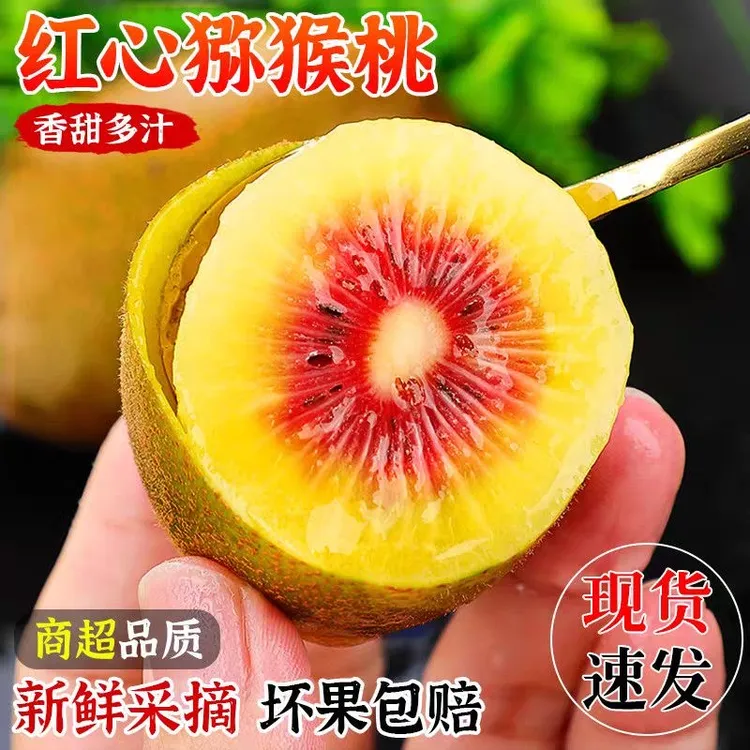 四川农户直发红心猕猴桃当季新鲜孕妇水果奇异果香甜多汁