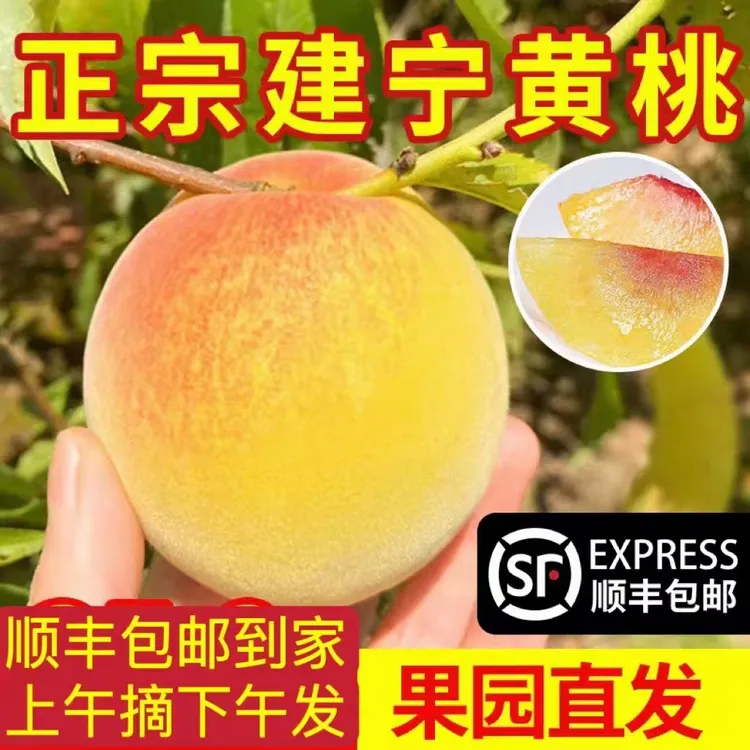 【顺丰助农】建宁黄桃新鲜应季水果5/10斤礼盒硬脆桃现摘锦绣黄桃
