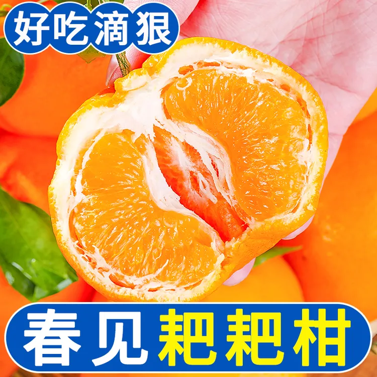 四川春见耙耙柑当季新鲜水果产地直发香甜爆汁