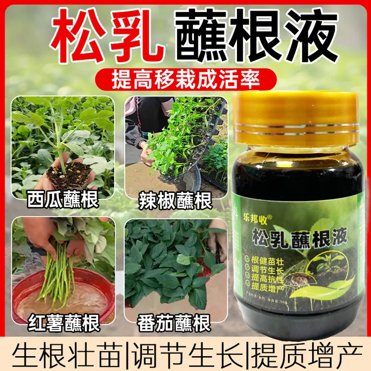 护苗松乳根植液蘸根剂防死棵烂苗生根壮苗调节生长提质增产
