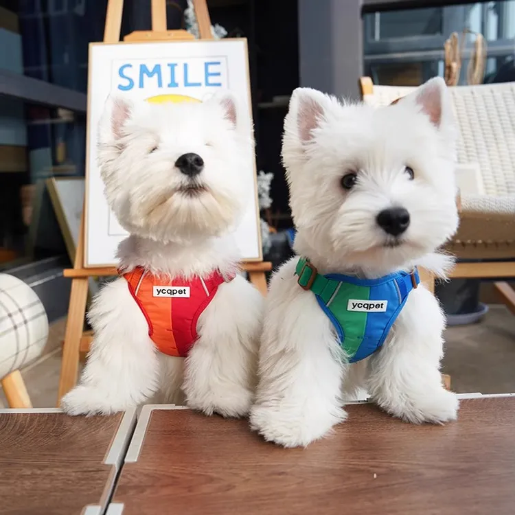 狗狗牵引绳反光胸背带小型犬背心式狗绳遛狗绳拴狗绳狗背带牵狗绳