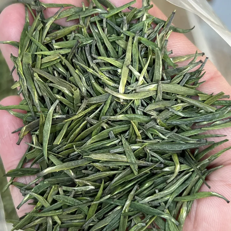 日照银针  栗香浓香耐泡600