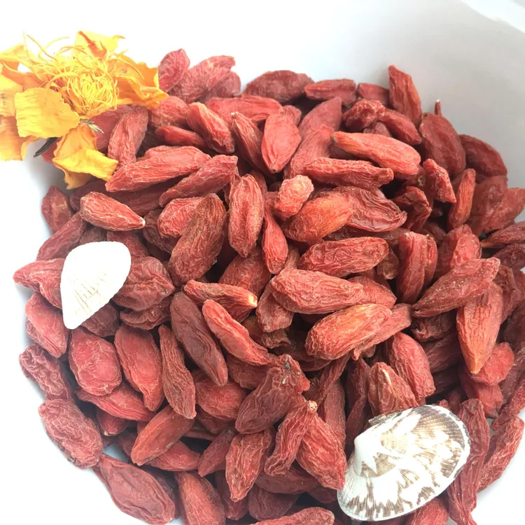 正宗2025头茬宁夏中宁枸杞子大颗粒饱满免洗可干吃泡茶