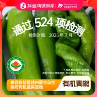 彩虹星球有机|有机新鲜青椒现摘现发当季辣椒蔬菜新鲜青椒