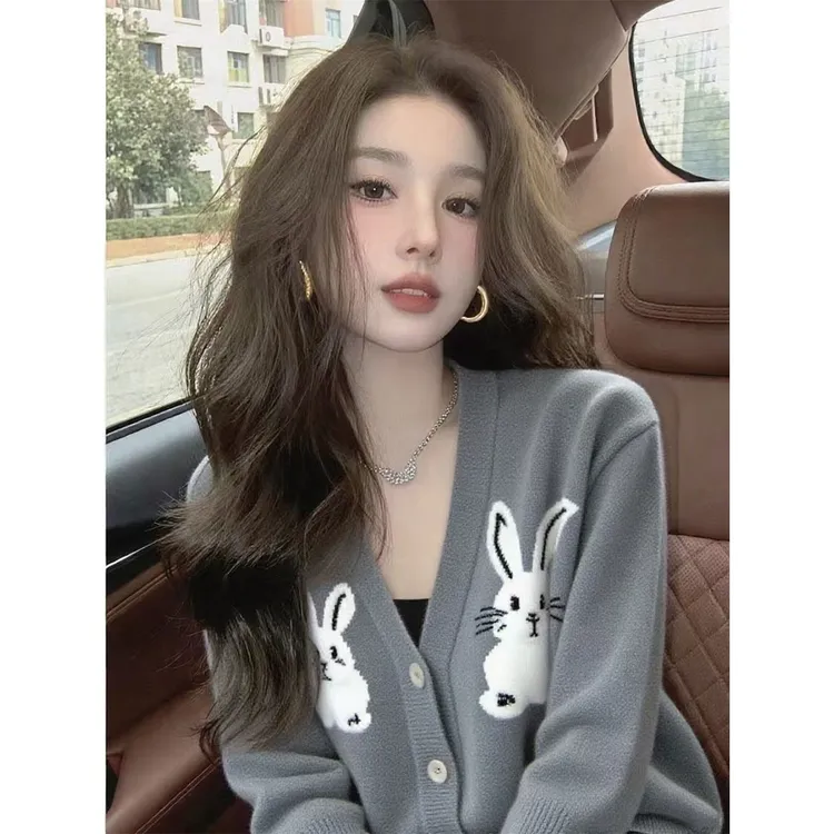 今年流行漂亮气质女装法式高级感宽松慵懒风灰色动物刺绣开衫外套