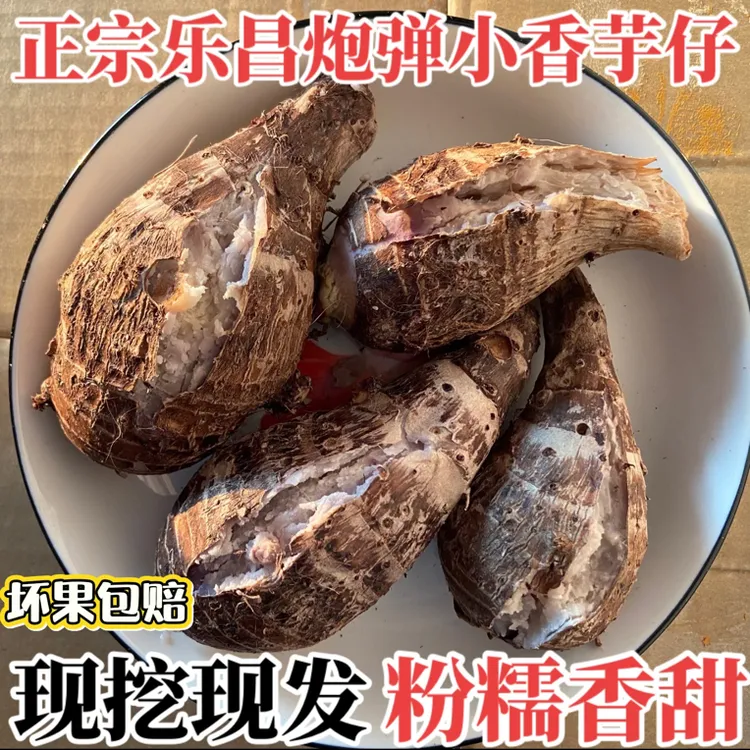 韶关乐昌张溪香芋炮弹芋头新鲜小芋头仔粉糯毛芋牛奶芋艿广东槟榔