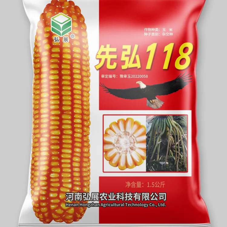 高产玉米种子先弘118抗倒抗青枯抗锈抗穗腐抗旱玉米种子品质好