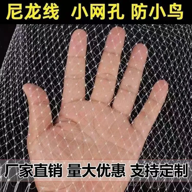 果园防鸟网爬藤网大棚防护网养殖网小网孔防鸟用1.6厘米边长网孔