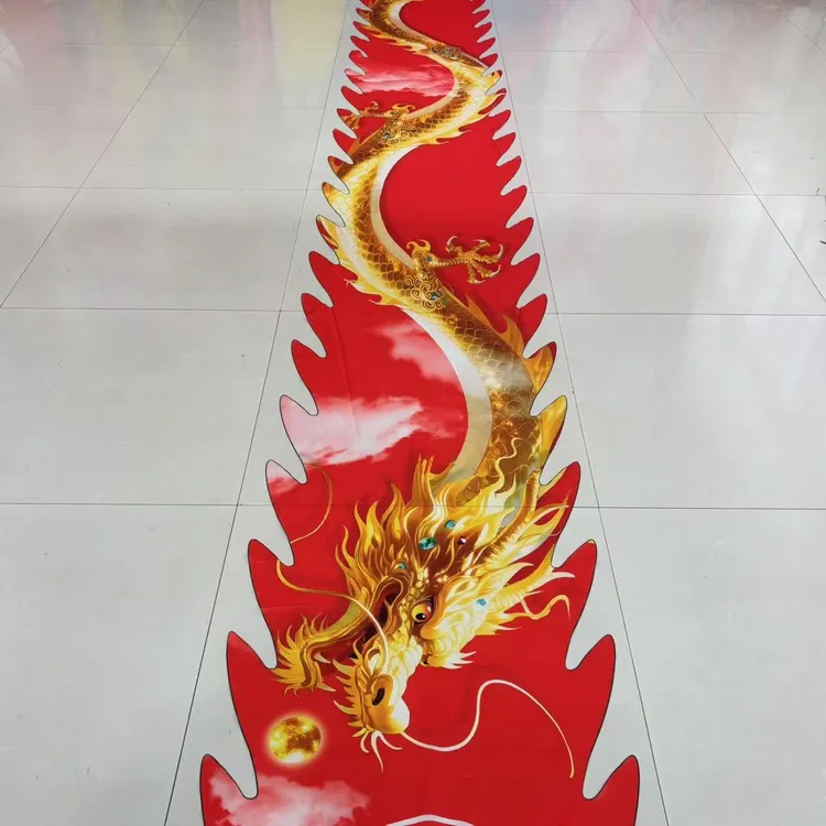 6米单独彩绸龙衣健身舞龙精美可水洗彩带龙衣舞龙彩带龙头健身龙
