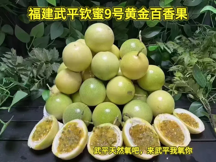 正宗福建龙岩象洞黄金百香果当季新鲜水果现摘现发整箱包邮