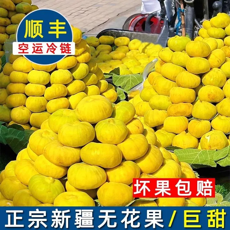 原产地直发新疆特产树上糖包子阿图什早黄应季新鲜无花果新鲜水果