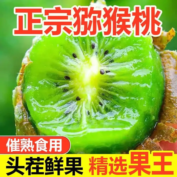 正宗绿心猕猴桃当季鲜果新鲜采摘孕妇可食奇异果