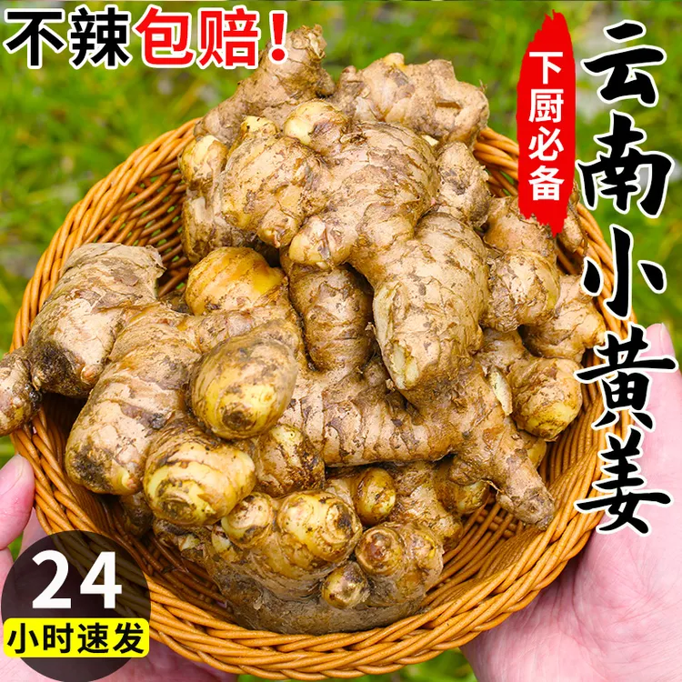 【商超品质】云南小黄姜新鲜现挖老嫩姜辛辣应季新鲜蔬菜农家自种