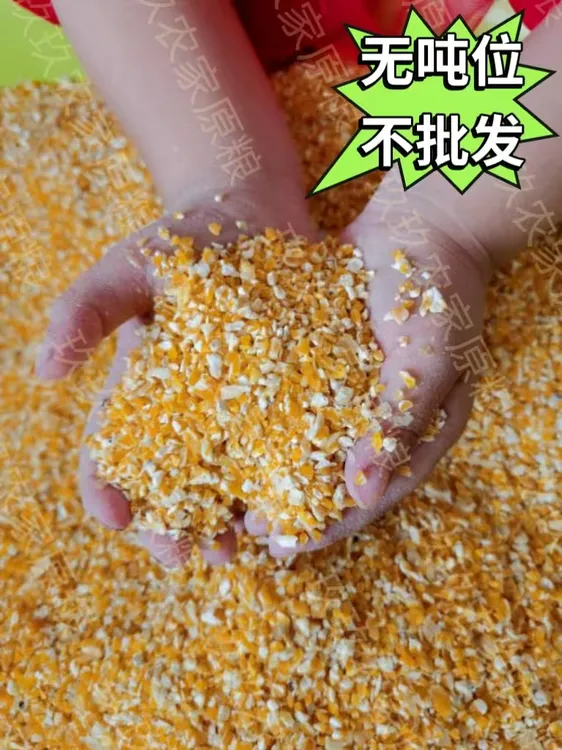 新鲜发货碎玉米粒碴粉钓鱼打窝鸡鸭鹅鸽子喂鸡玉米家禽包邮