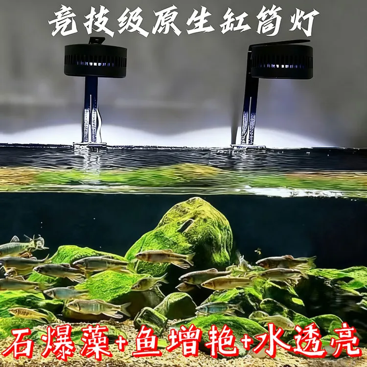 森森珍选全光谱专用防水筒灯于溪流缸造景照明及鱼缸全光谱爆藻灯