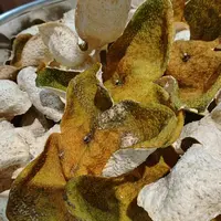 【塞口围二红】2025年梅江塞口围精品二红陈皮 250g 500g 1000g包邮