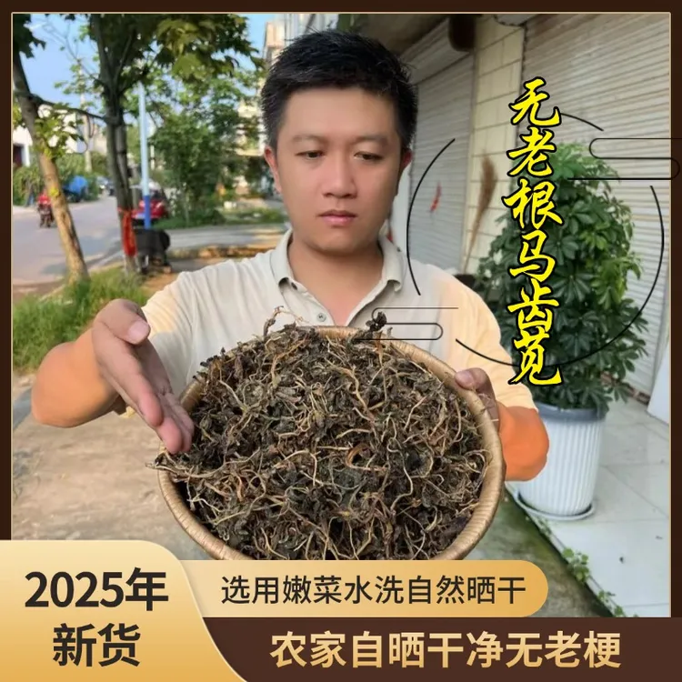 2025年新晒干的马齿苋 野生马齿苋自然晒干无硫营养美味 精选品质