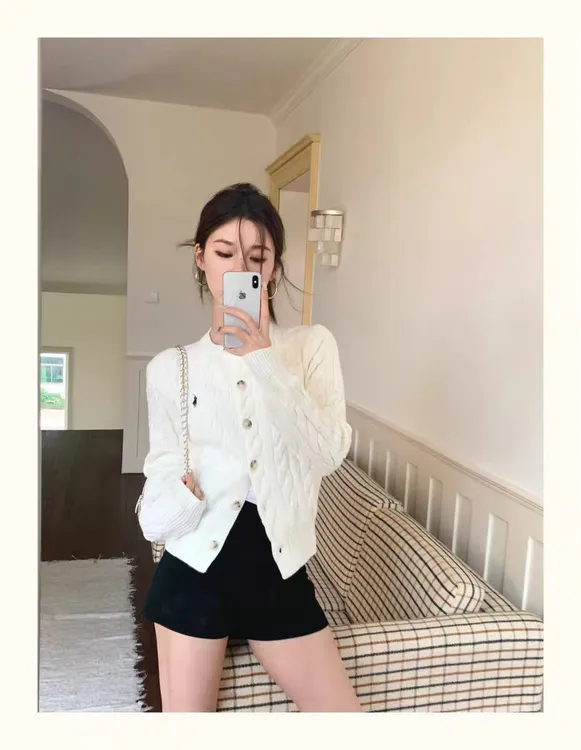 小众设计感麻花白色羊毛针织衫秋冬加厚软糯纯色圆领刺绣羊毛衫