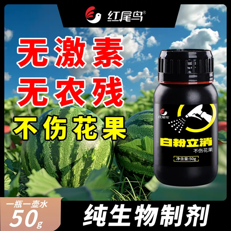 【益】白粉立消粉层专用不挑作物不伤花果富含营养生物制剂