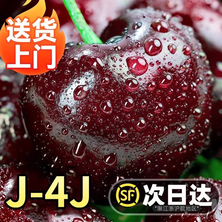 原箱5斤 桑提娜车厘子智利进口海运2斤新鲜水果J-5J 内附果径卡