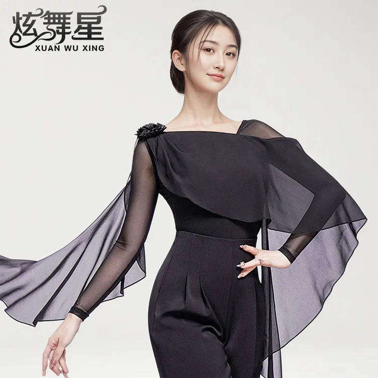 高级感摩登舞服新款网纱长袖交谊舞练功服秋季时尚成年拉丁舞上衣