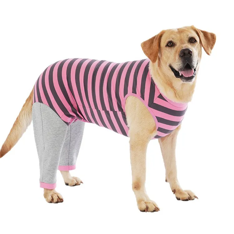 宠物狗狗衣服秋冬服装柯基泰迪小大型犬狗狗护膝狗狗护肘衣关节套