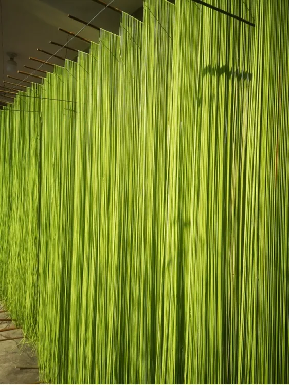 【陕西特产】农家纯菠菜机制挂面自然风干晾晒