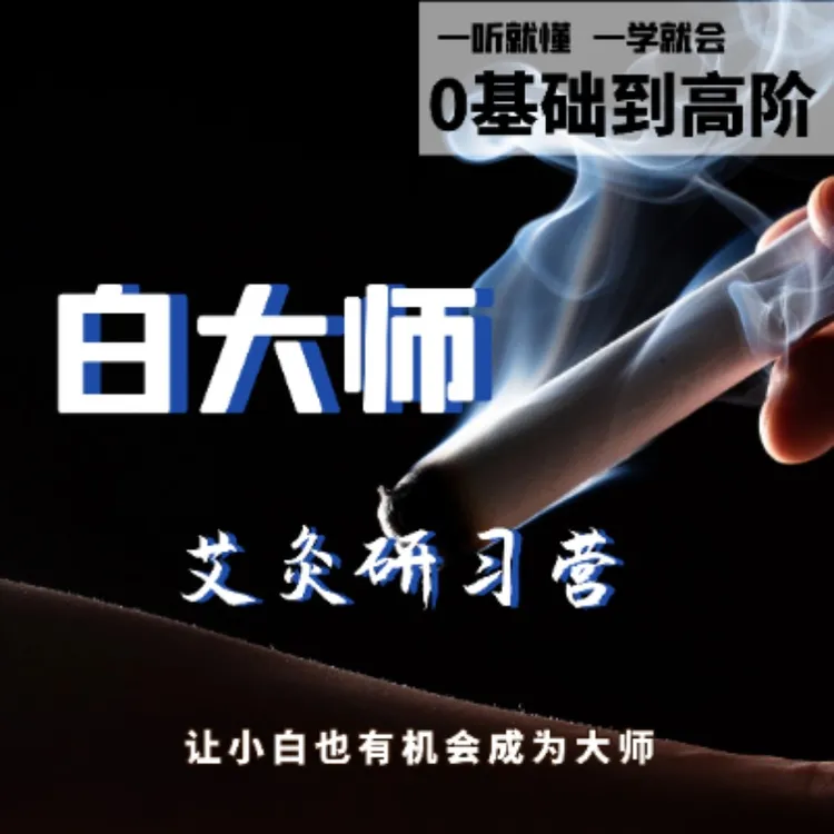 《白大师艾灸研习营》