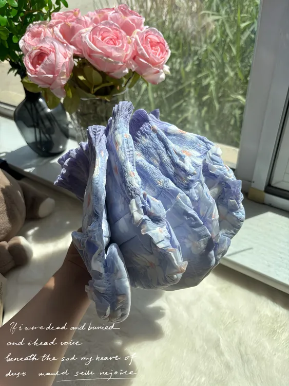 舒亲宝贝益生菌纸尿裤夏季超薄拉拉裤大吸量过夜款尿不湿超薄