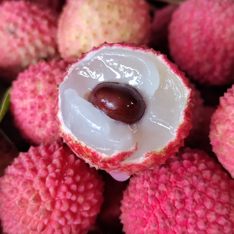 广东桂味荔枝 新鲜采摘冷链直达鲜荔枝妃子笑大果10