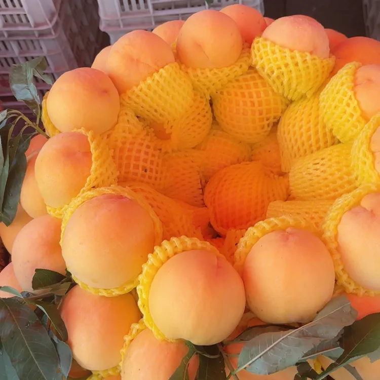 重庆奉节汾河镇现摘锦绣黄桃当季水果脆甜多汁蜜桃