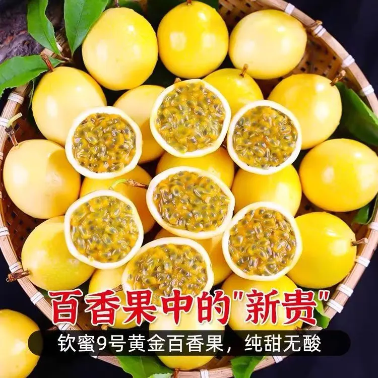 4广西钦蜜9号百香果正宗钦蜜9号当季新鲜水果现摘黄金果厂地直发
