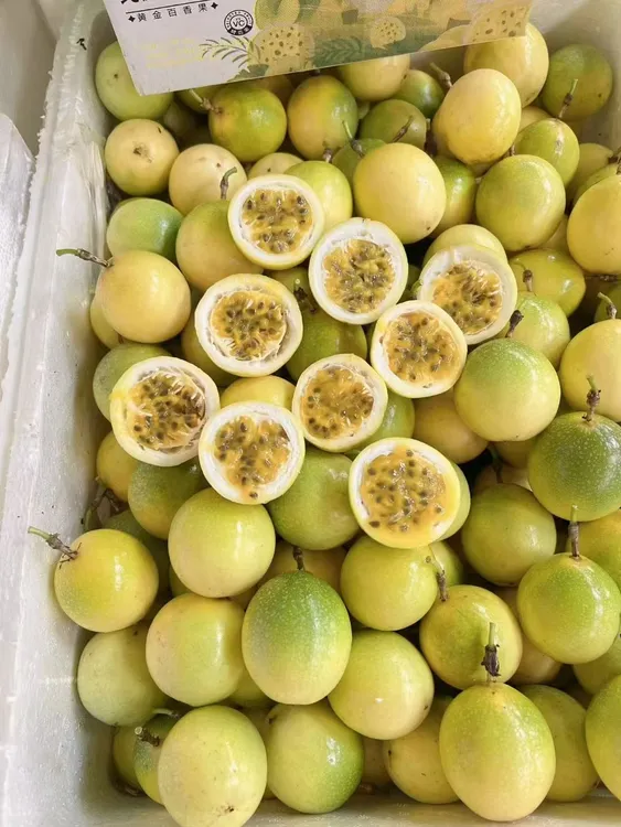 自种钦蜜9黄金百香果果味芳香甜蜜饱汁
