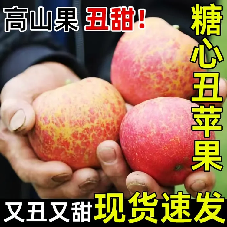云南昭通丑苹果新鲜现摘脆甜多汁冰糖心水果